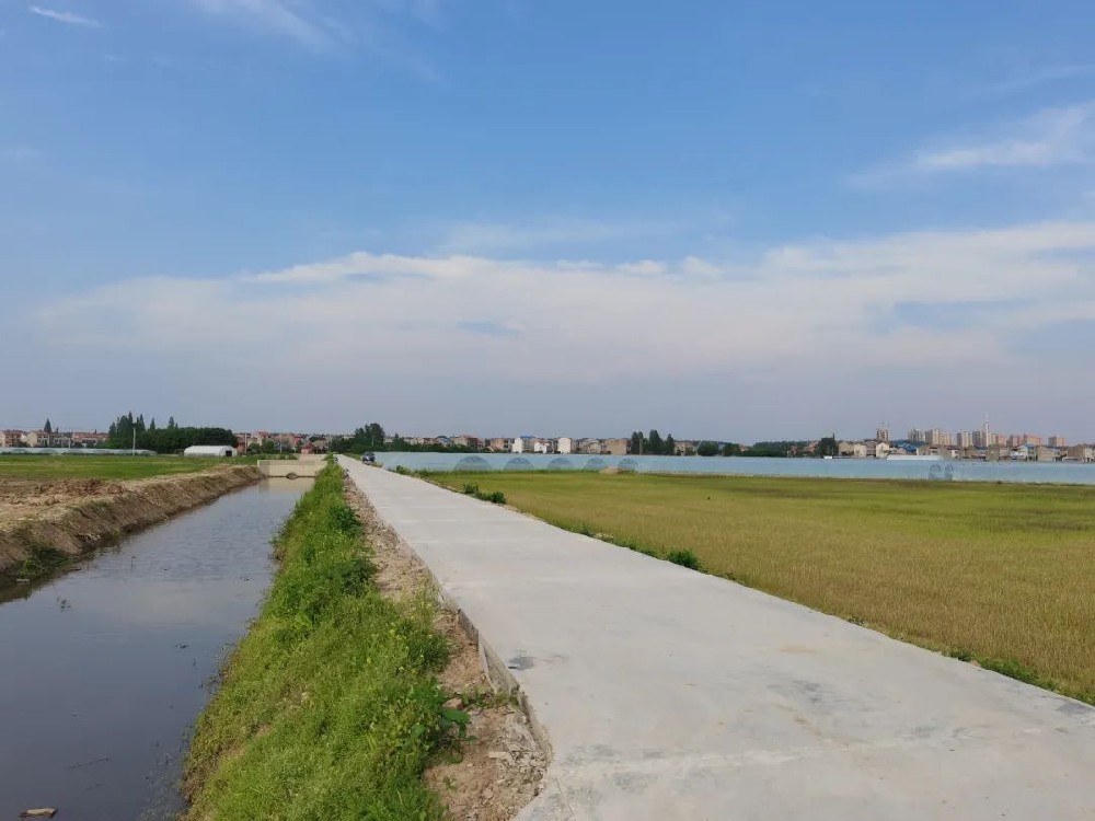 臨潼區(qū)高標準農田建設項目